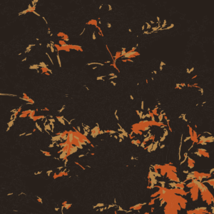 HAN_MOT-10