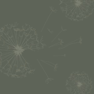 MIN_MOT-10