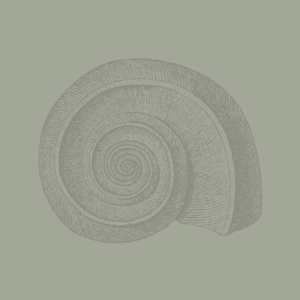 MIN_MOT-11