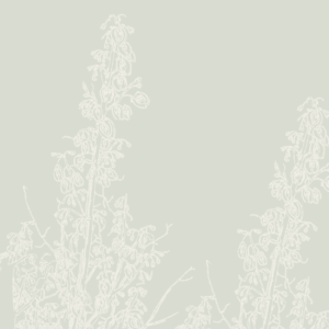 MIN_MOT-12