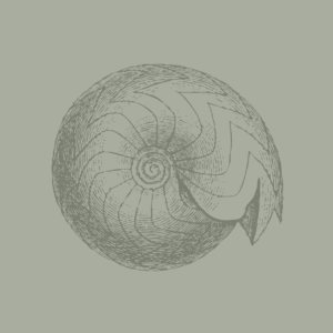 MIN_MOT-13
