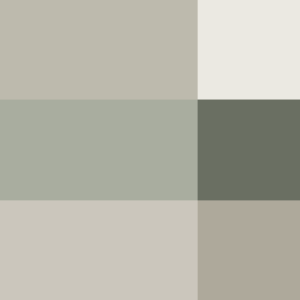 MIN_MOT-14
