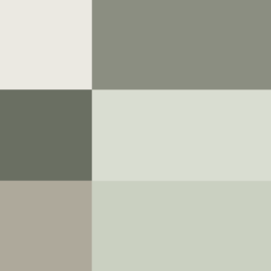 MIN_MOT-15