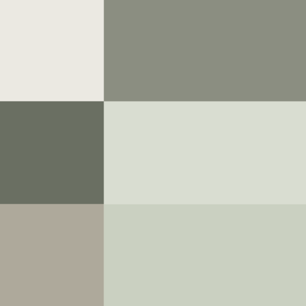 MIN_MOT-15