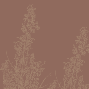 NAT_MOT-08