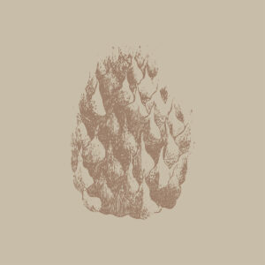 NAT_MOT-16