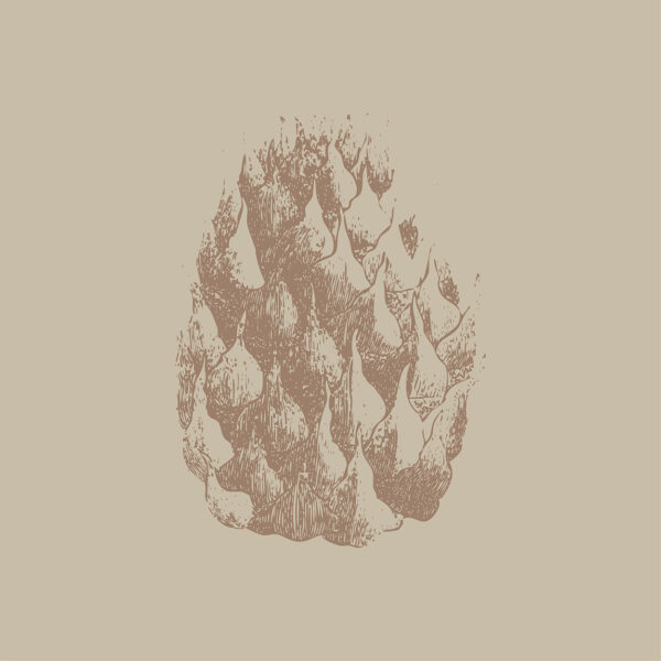 NAT_MOT-16